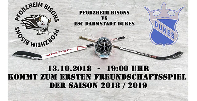 Freundschaftsspiel
