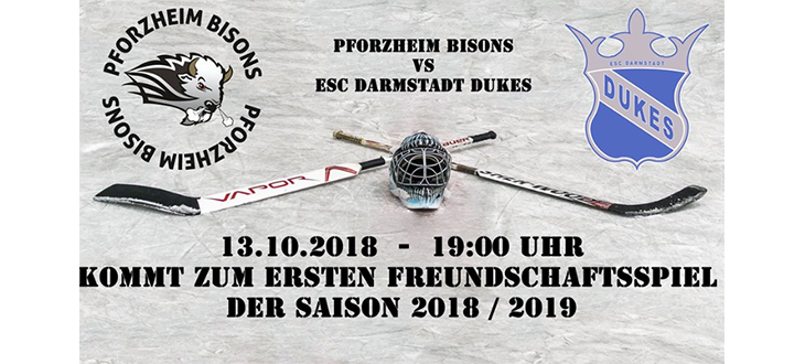 Freundschaftsspiel