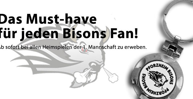 Bisons Schlüsselanhänger