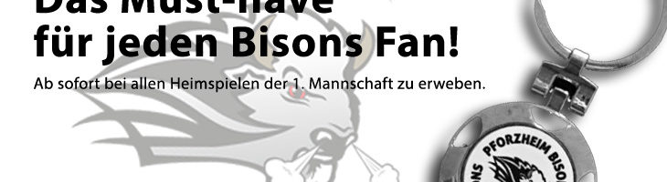 Bisons Schlüsselanhänger